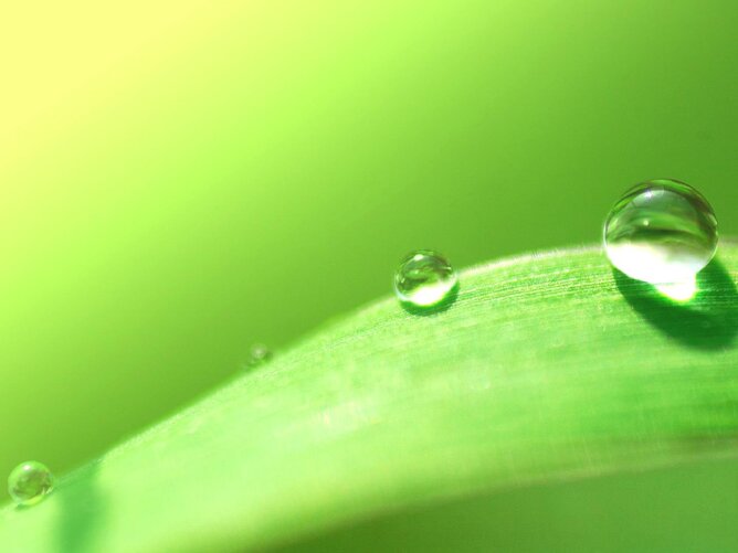 c36c7cdf-8dc4-46c9-9b21-ab939467b53d