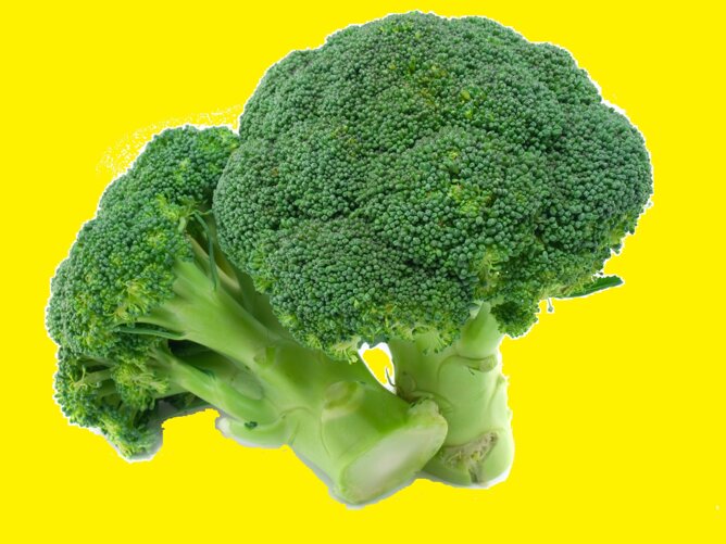 0bcbdc00-6e70-439e-9d73-1e5a61fa7b3f