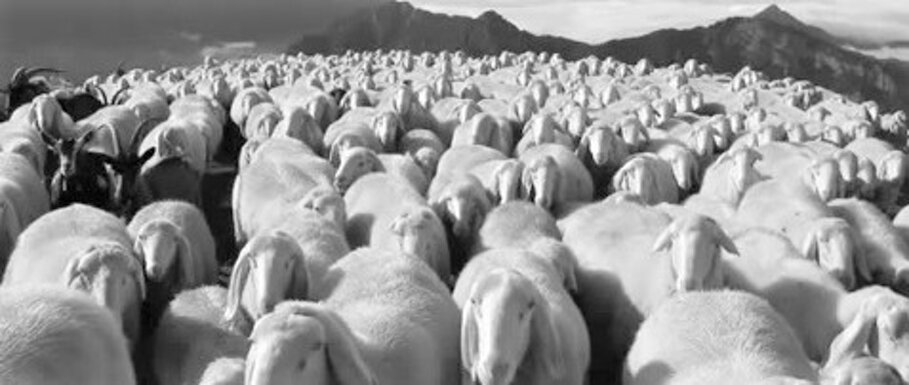 e8e6e67e-264e-4768-9234-de93dbd447c5