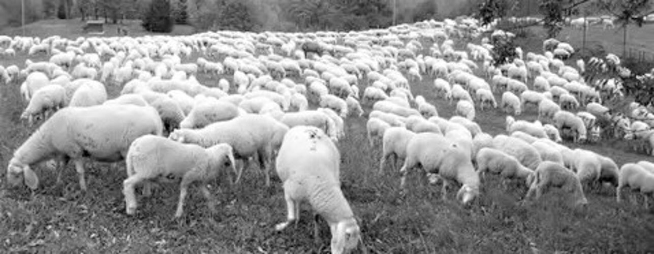 eff6bcb5-2530-4771-a08b-e20ab40441f4