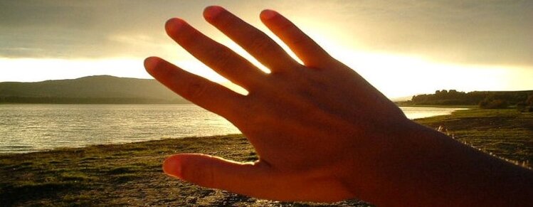 92de8f71-46ed-4b21-9f6f-adcc5529c63e