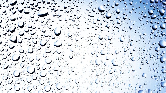 f852648c-6a91-448c-9fee-a0f5b6e700ca