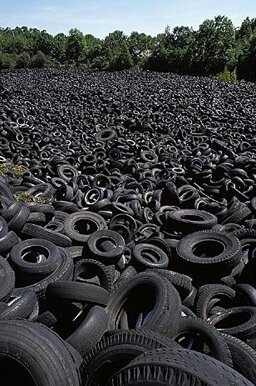 393a09d4-930f-43fe-9904-fdfbbb2ce16c