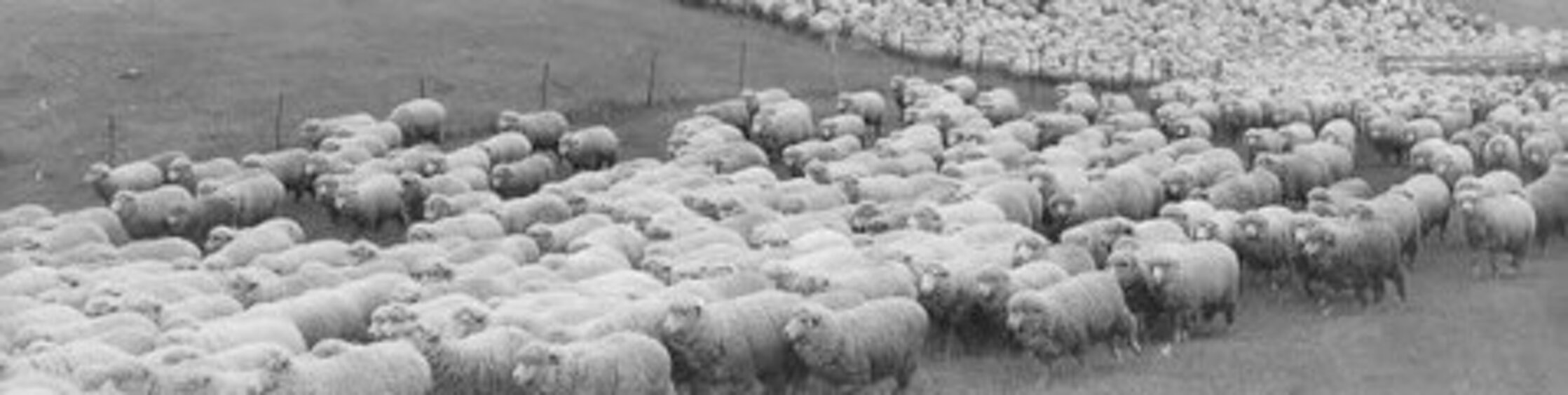 7c71b766-c47a-4a3c-9de5-85aab8390540