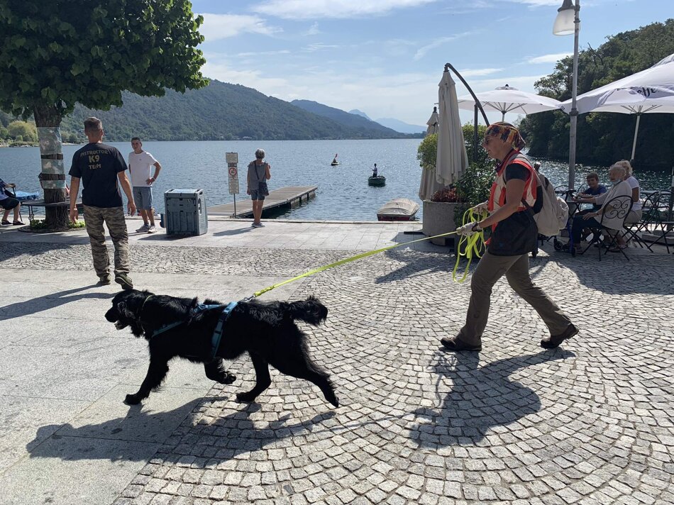 3da54729-3944-45a3-9ae6-fa6a0b9f7436