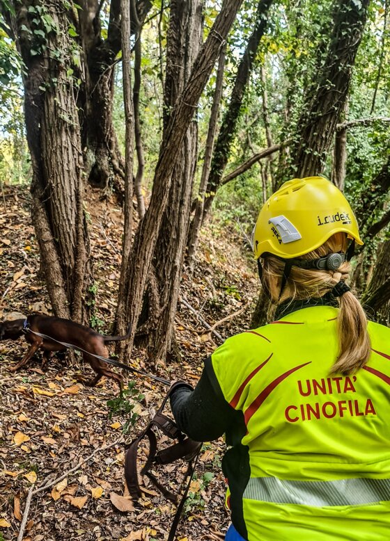 dfa515fe-573c-4c9c-8a25-da8adb57e652.jpeg dfa515fe-573c-4c9c-8a25-da8adb57e652.jpeg