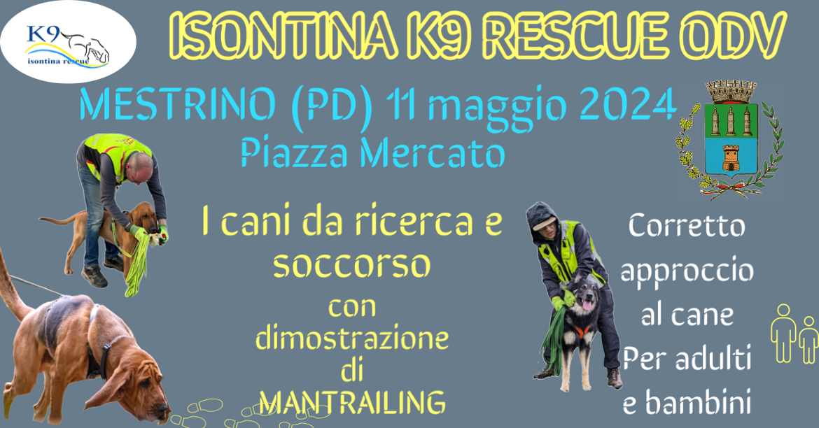 8b7b3f51-b9e5-4b16-b480-8f2341cee15a 8b7b3f51-b9e5-4b16-b480-8f2341cee15a