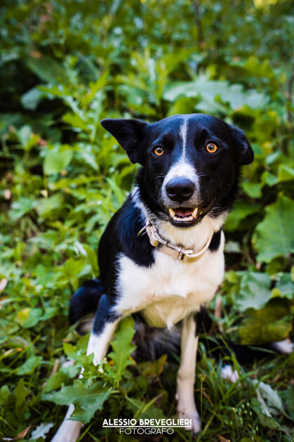 3325a3f5-38b1-4ad4-aacb-80bd16ba2336