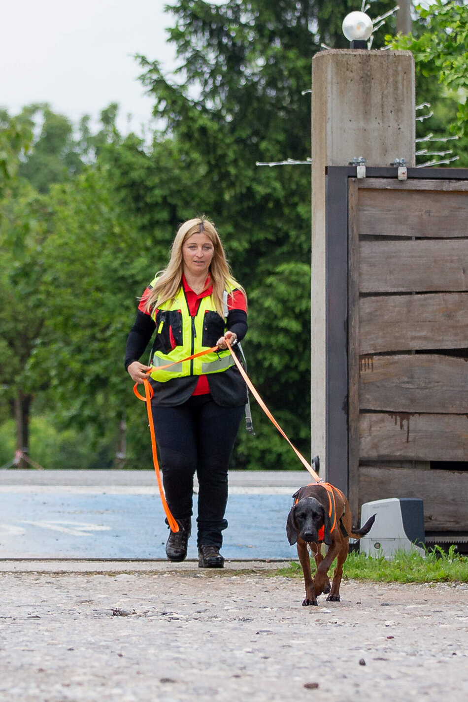 b7e1d7e0-1c8b-4215-bf67-cc94d48d1f26