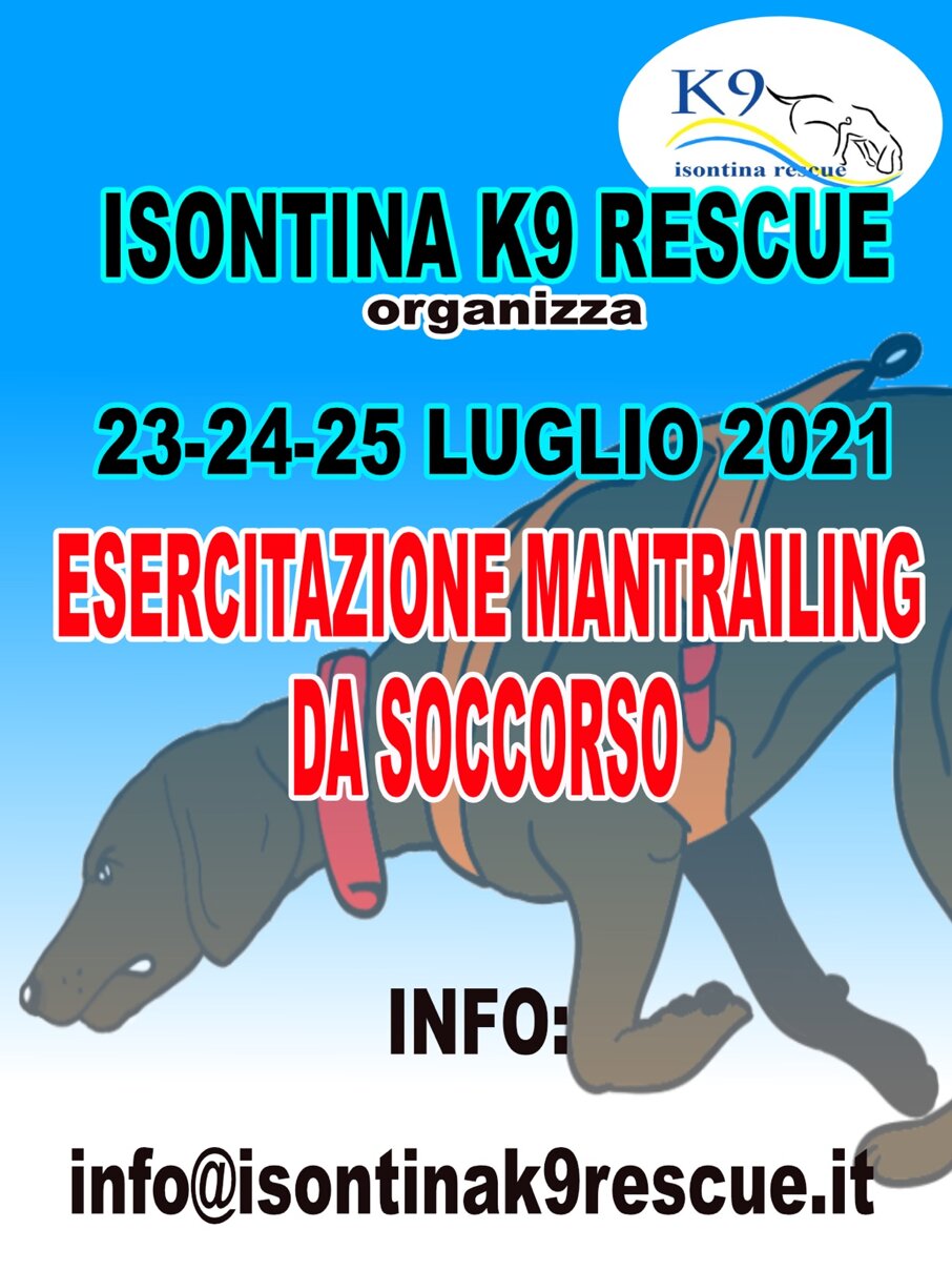 e6b498b6-75ab-4fce-8e87-7ef0a43ef753