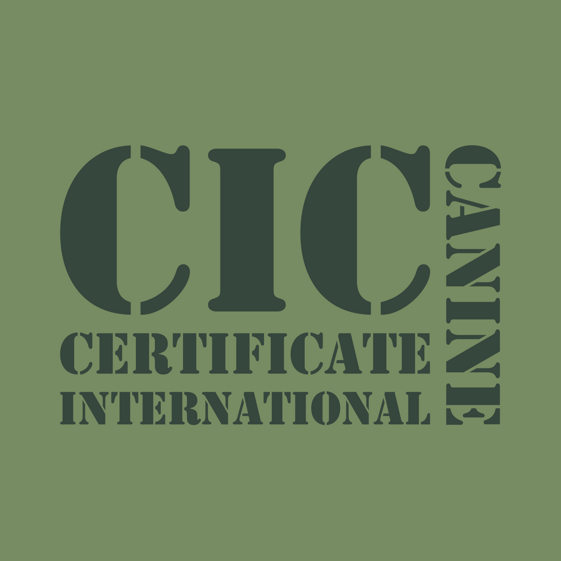 a64dd6c2-1a8c-4209-82d5-3e39ec51b300