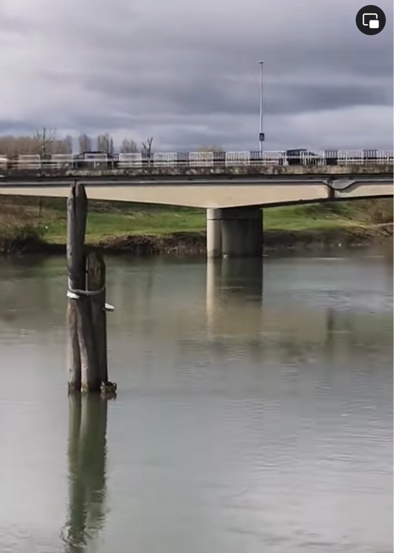 b51c40bc-7dc3-45d1-bd5e-2106ba9b122b