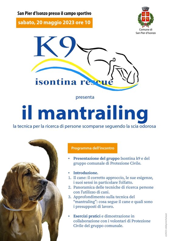 762fa733-af3b-4600-878f-891078a11966.jpeg 762fa733-af3b-4600-878f-891078a11966.jpeg