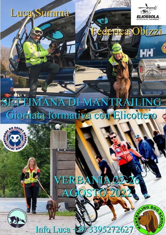 8f968851-868d-4c93-9639-a7bafb65c33b.jpeg 8f968851-868d-4c93-9639-a7bafb65c33b.jpeg