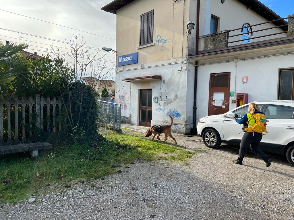 No, non usiamo la pettorina