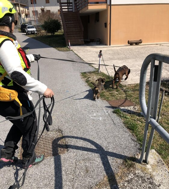 6e7ef473-4033-4595-b51f-440b8d6ad678