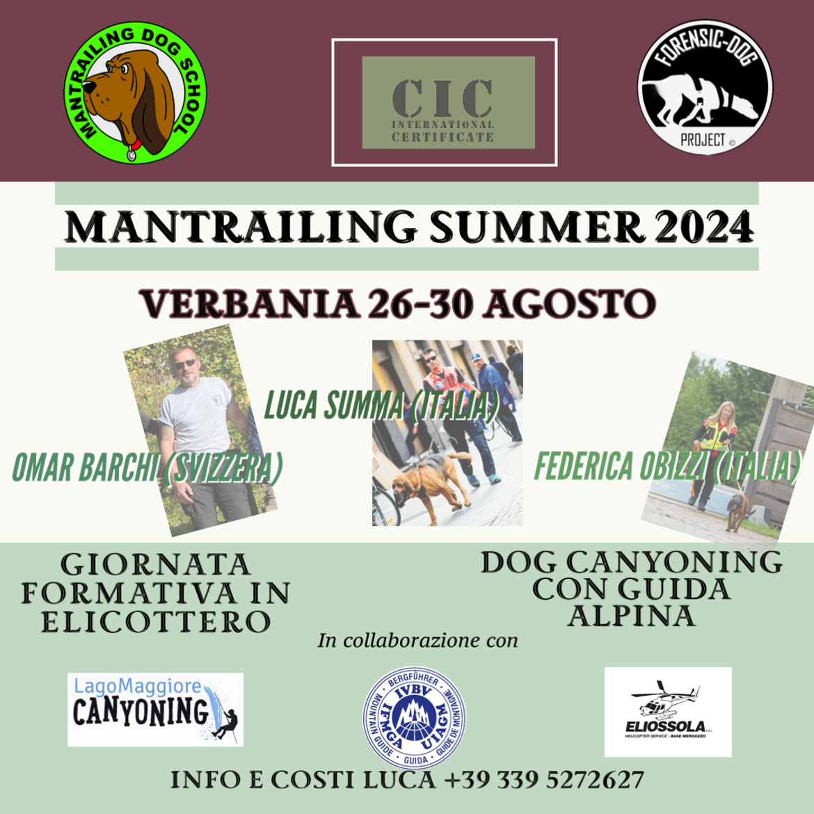 92b16e1d-b182-4965-8dce-336568cd9eaf 92b16e1d-b182-4965-8dce-336568cd9eaf