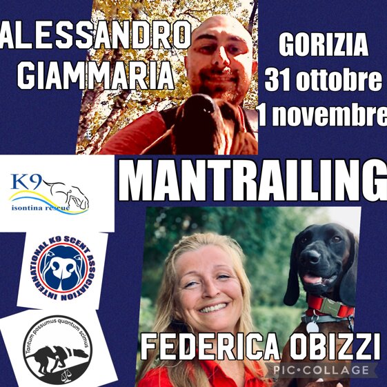 e3ea46c7-0b30-4101-8c7e-17171cf02270.jpeg e3ea46c7-0b30-4101-8c7e-17171cf02270.jpeg