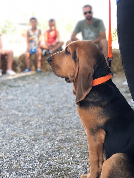 dbf0253f-493e-4f1e-a881-953244e1d76b.jpeg dbf0253f-493e-4f1e-a881-953244e1d76b.jpeg