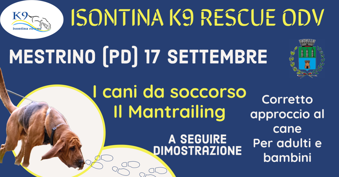 e3769c38-8edf-4172-a4c9-0ca84ed96d1e e3769c38-8edf-4172-a4c9-0ca84ed96d1e