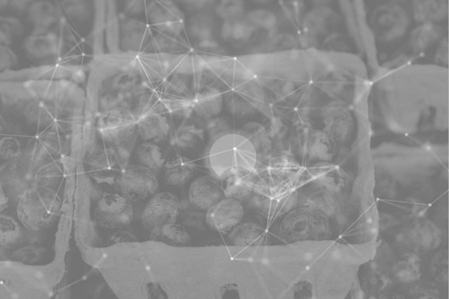 Foster seamless alignment of key marketing and sales levers to exceed your targets
