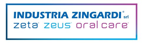 zingardi logo 2024_page-0001.jpeg zingardi logo 2024_page-0001.jpeg