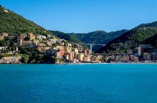 pexels-catalin-buescu-339535060-14800437.jpeg pexels-catalin-buescu-339535060-14800437.jpeg