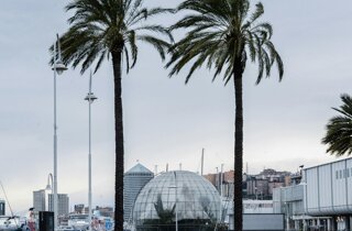 pexels-doralin-tunas-126287710-10019044.jpeg pexels-doralin-tunas-126287710-10019044.jpeg