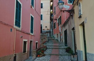 pexels-kolea-14209575.jpeg pexels-kolea-14209575.jpeg