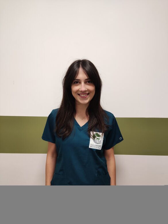 cf2ef3f3-e323-4176-8b9f-7a58159ee432 cf2ef3f3-e323-4176-8b9f-7a58159ee432