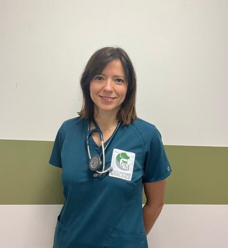 1d047e28-f6e8-4b90-8352-48df70583a96 1d047e28-f6e8-4b90-8352-48df70583a96