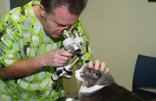 dd941373-d63a-4c1c-aa72-f7f20af67631