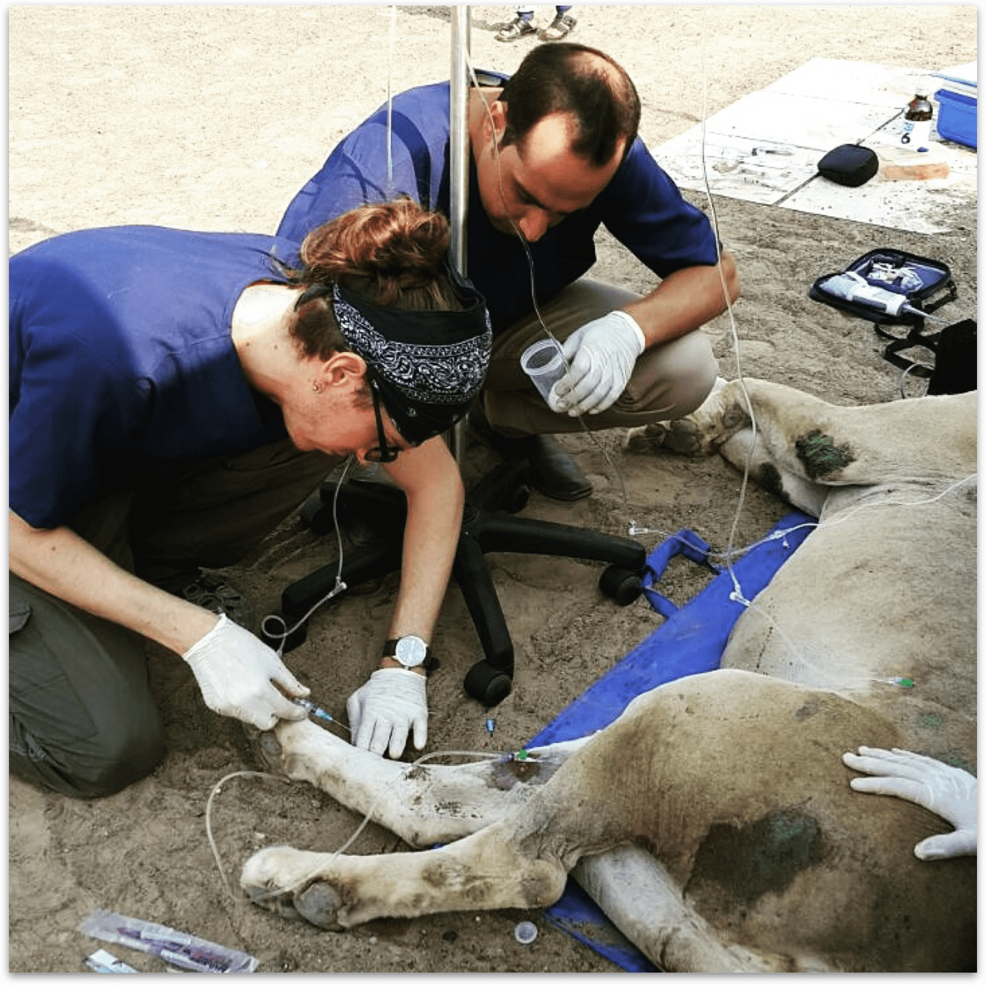 2f05ca85-c30b-4025-af71-418fb524afe7 2f05ca85-c30b-4025-af71-418fb524afe7