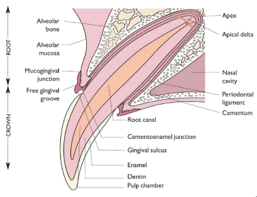 24f902a3-2039-4187-bbec-dd5e1279042f