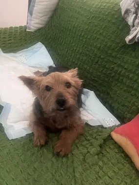 2fbb3055-1883-4cb5-8942-aba1d8eb5f65 2fbb3055-1883-4cb5-8942-aba1d8eb5f65