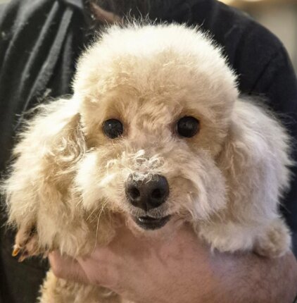 whatsapp image 2026-02-16 at 10.40.21.jpeg