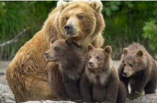 18b65255-a55a-470a-ac2c-3160d2bb9bdb 18b65255-a55a-470a-ac2c-3160d2bb9bdb