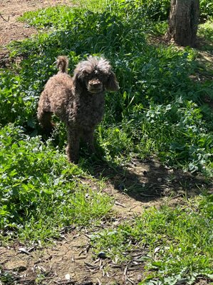 whatsapp image 2025-12-16 at 10.40.06.jpeg