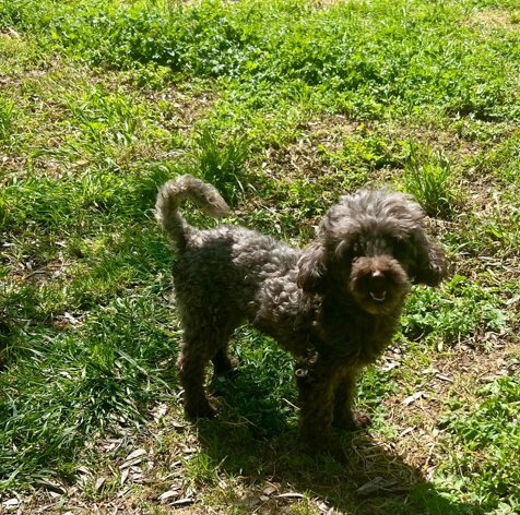 whatsapp image 2025-12-16 at 10.39.55.jpeg