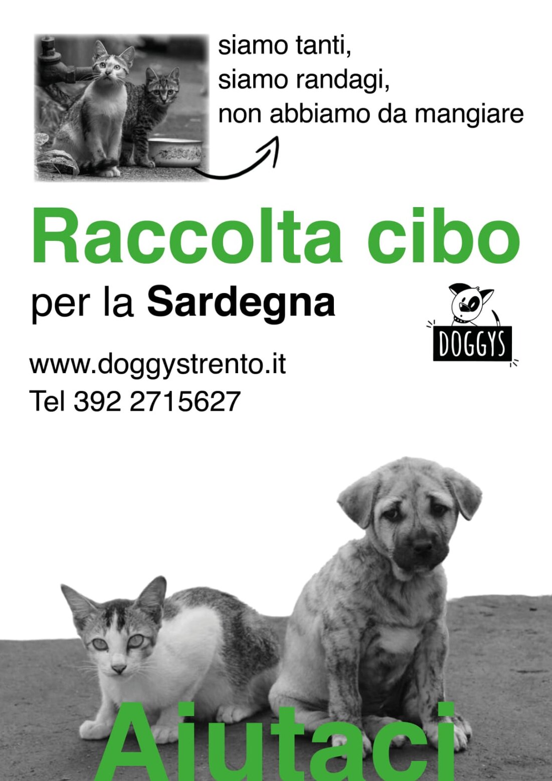 62ec1f42-540e-43f0-8759-57b43b769083 62ec1f42-540e-43f0-8759-57b43b769083