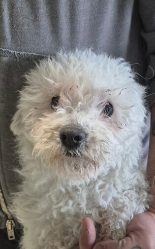 whatsapp image 2026-02-20 at 13.35.49.jpeg