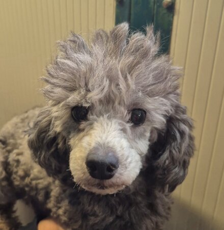 photo-2026-04-10-13-21-31.jpeg photo-2026-04-10-13-21-31.jpeg