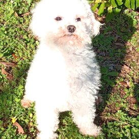 Femmina 4 anni, mamma Mluisa