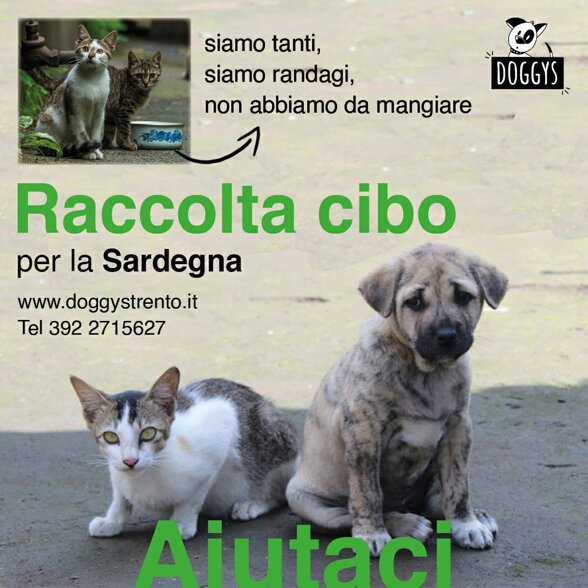 91afa431-fc27-4b12-9f4f-6069099a7fbb 91afa431-fc27-4b12-9f4f-6069099a7fbb