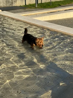 3c7c5fd7-21ae-40a8-93ed-f1dd30d30741