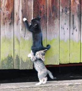 af654ae2-7055-4a66-9587-4978a6045a50