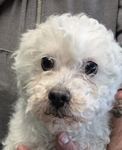 whatsapp image 2026-02-20 at 13.35.40.jpeg