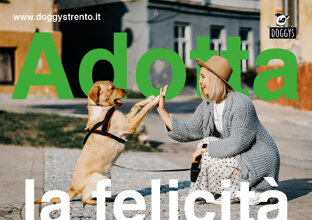 1af82701-ee6c-4dfe-9fbd-fe71e00c5f41