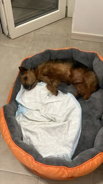 14699728-6d26-436f-84fc-016f16857004