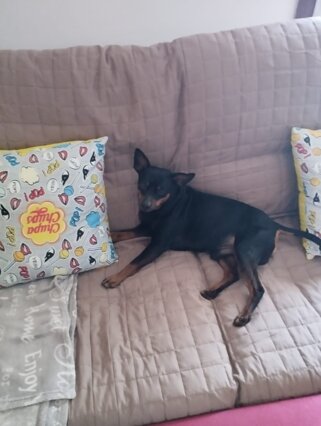 whatsapp image 2025-12-22 at 18.13.29.jpeg